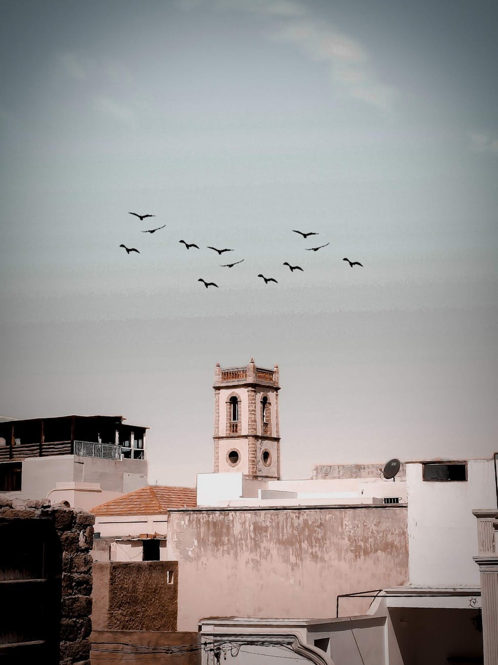 Une tour historique se dresse au milieu des toits d'El Jadida avec des oiseaux planant dans le ciel clair.